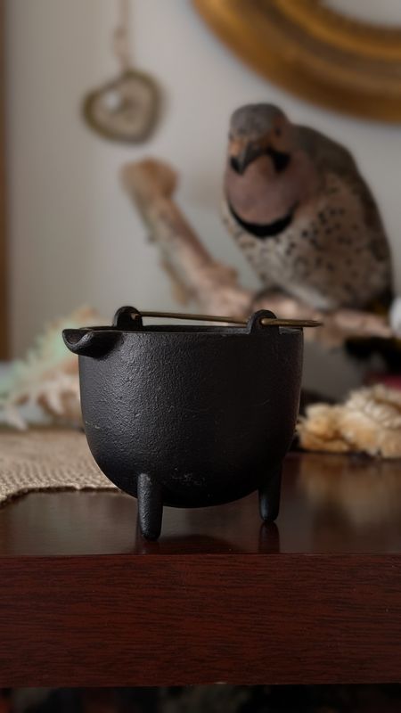 Witch's cauldron iron