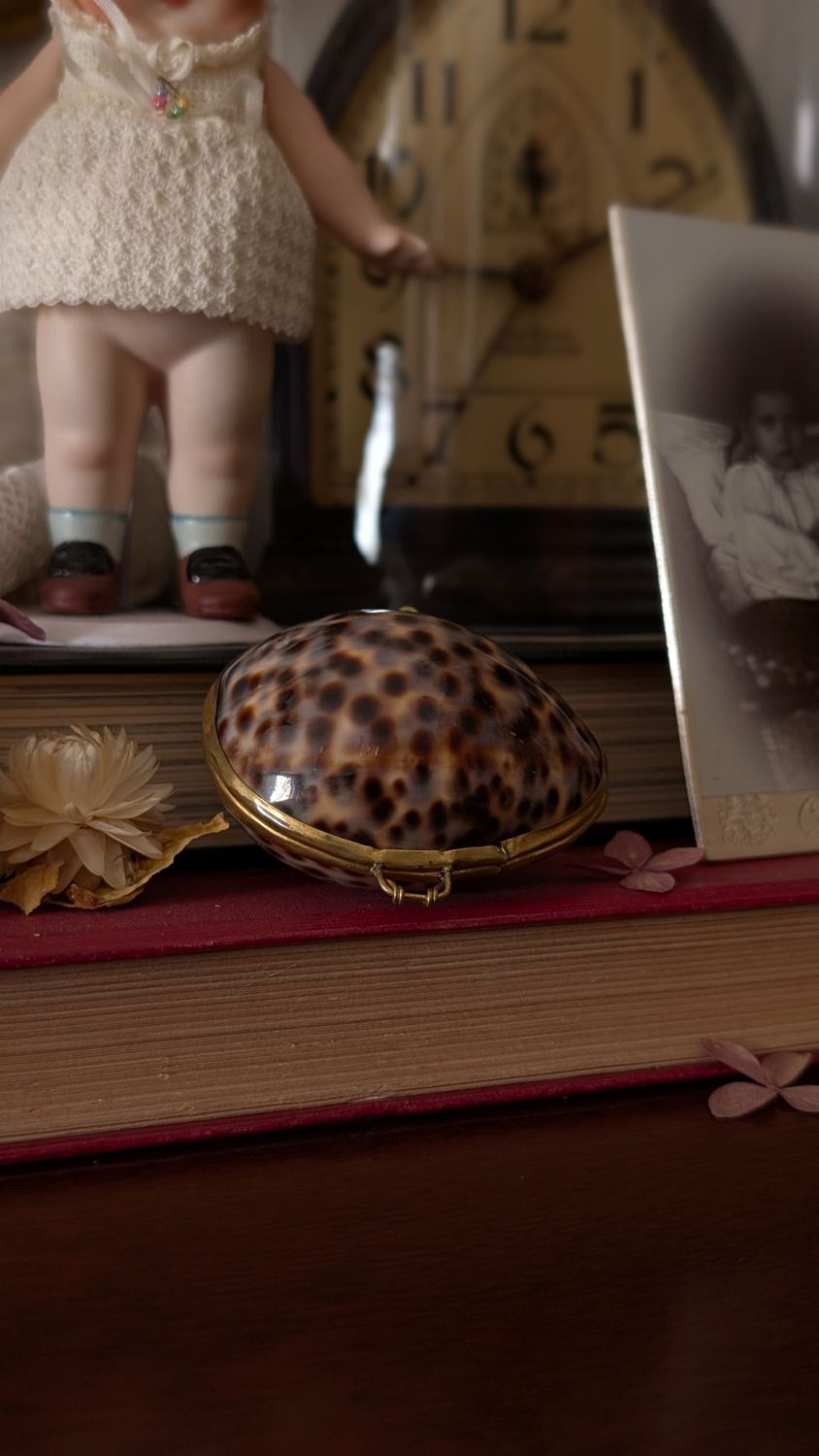 Tiger cowrie shell rosary box