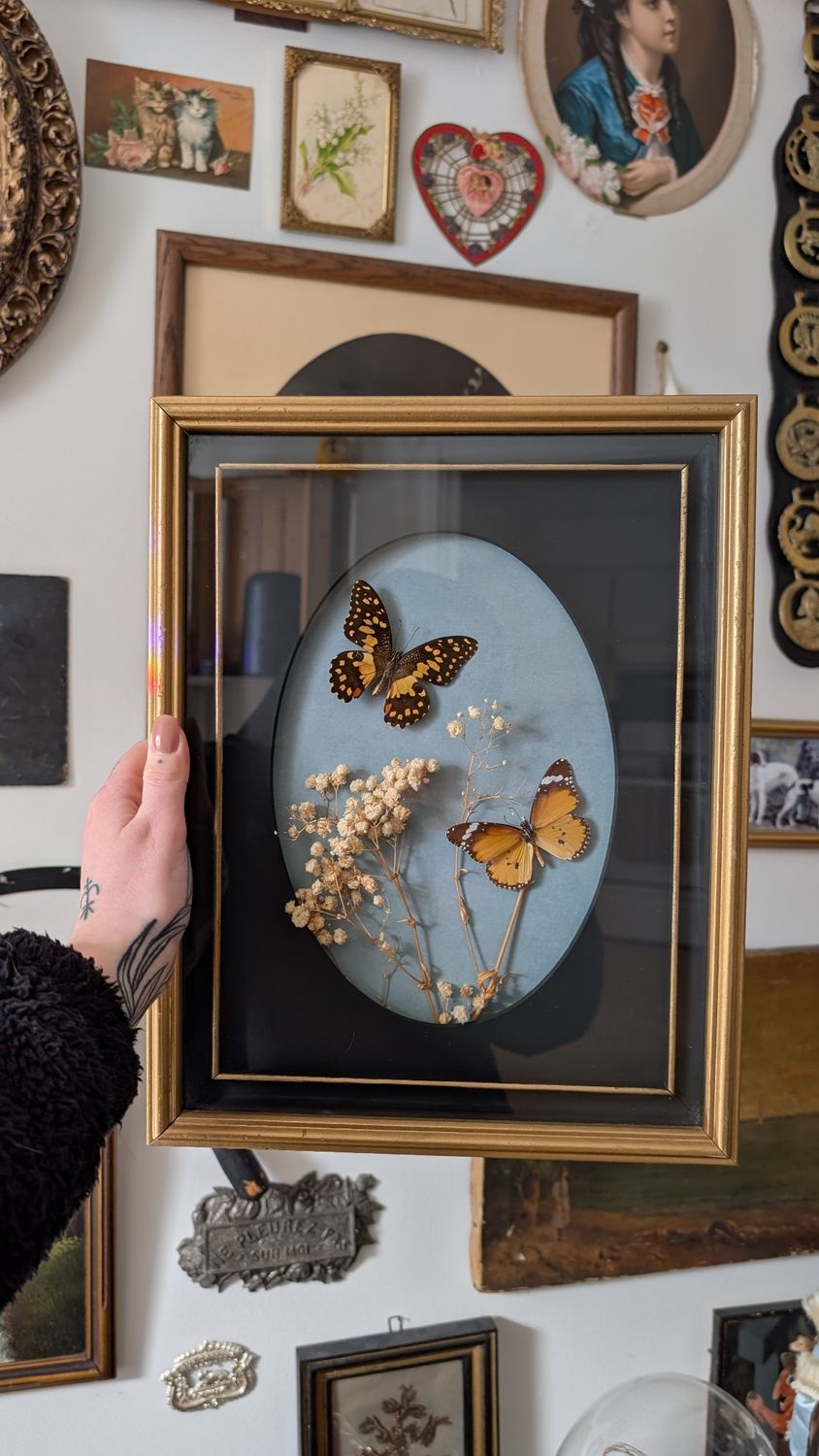 Vintage butterfly frame