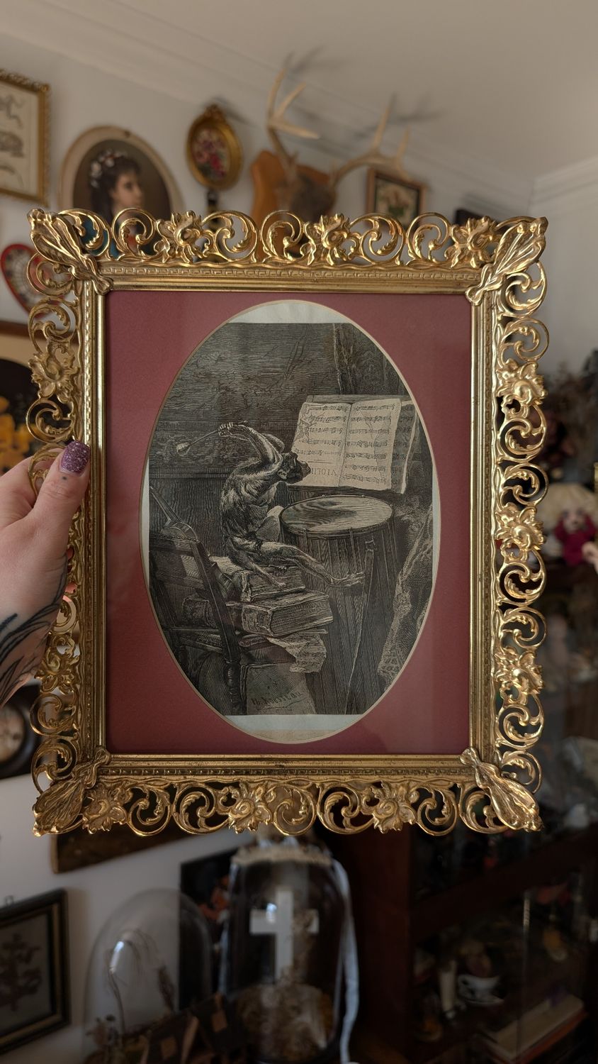 Monkey business - antique french lithography in vintage frame