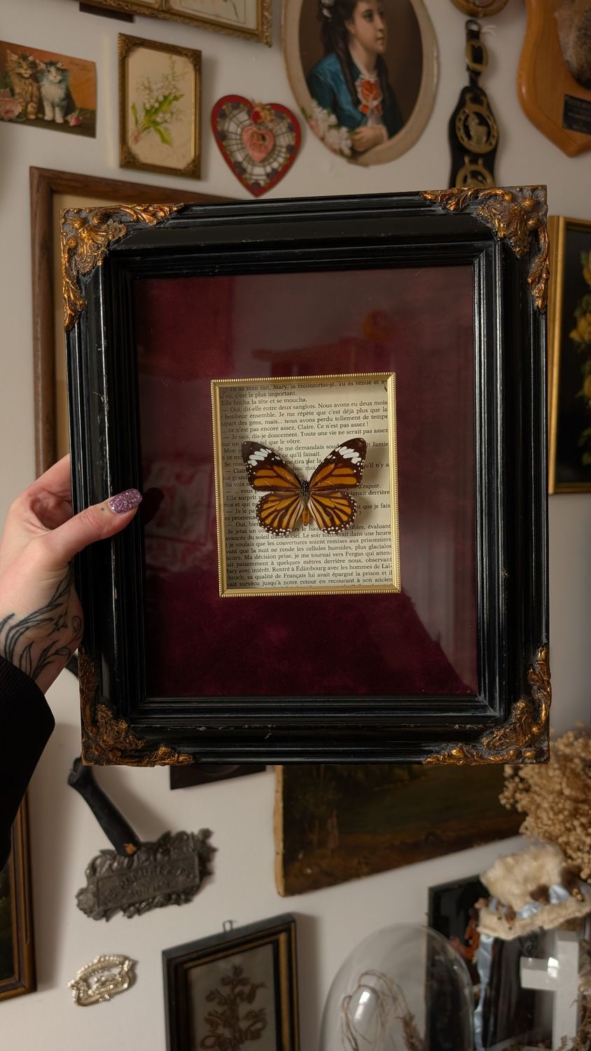 Common tiger Butterfly