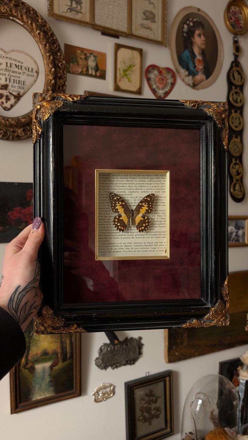 Lime butterfly frame