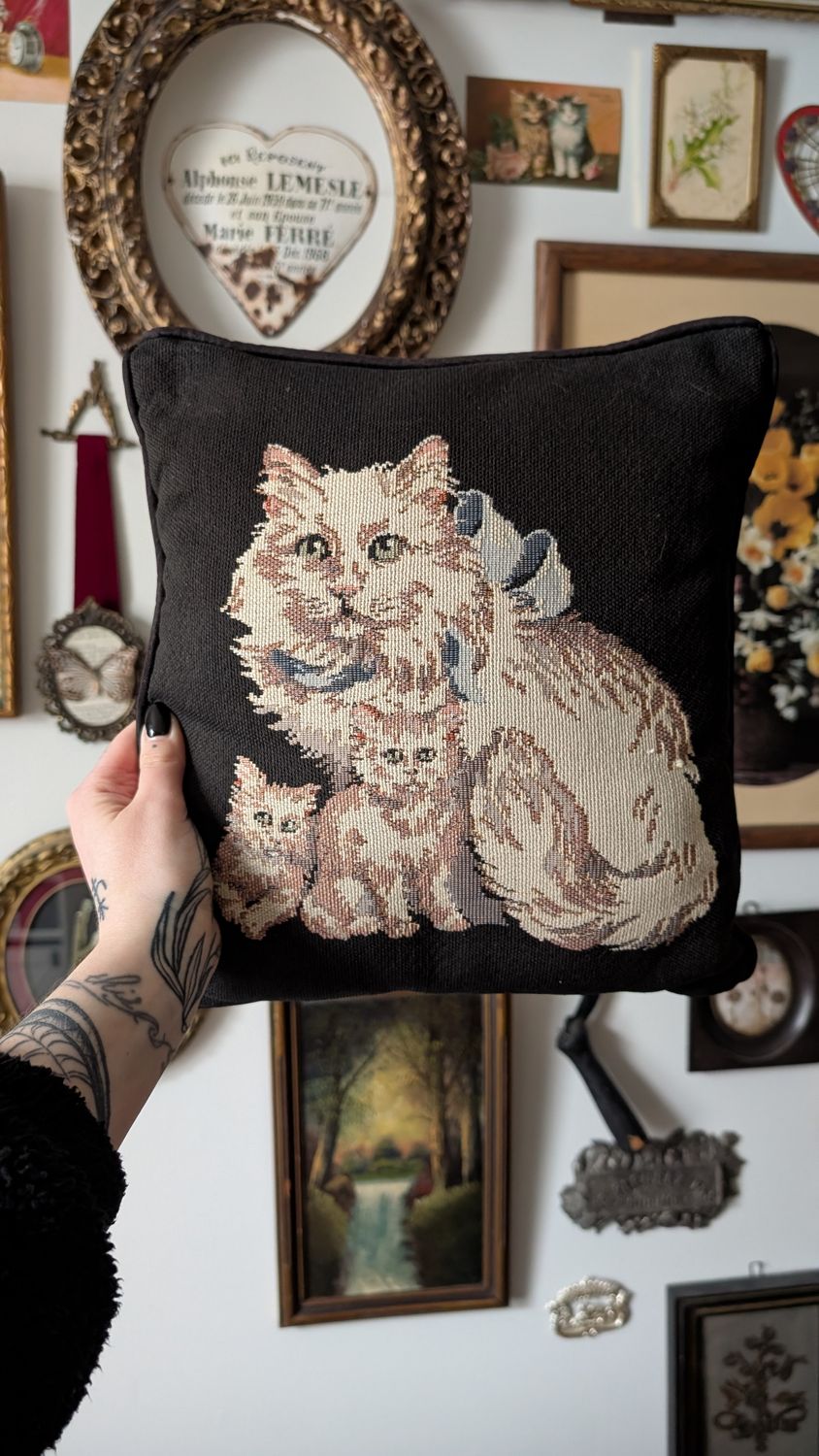 Gorgeous white cats on black pillow embroidered
