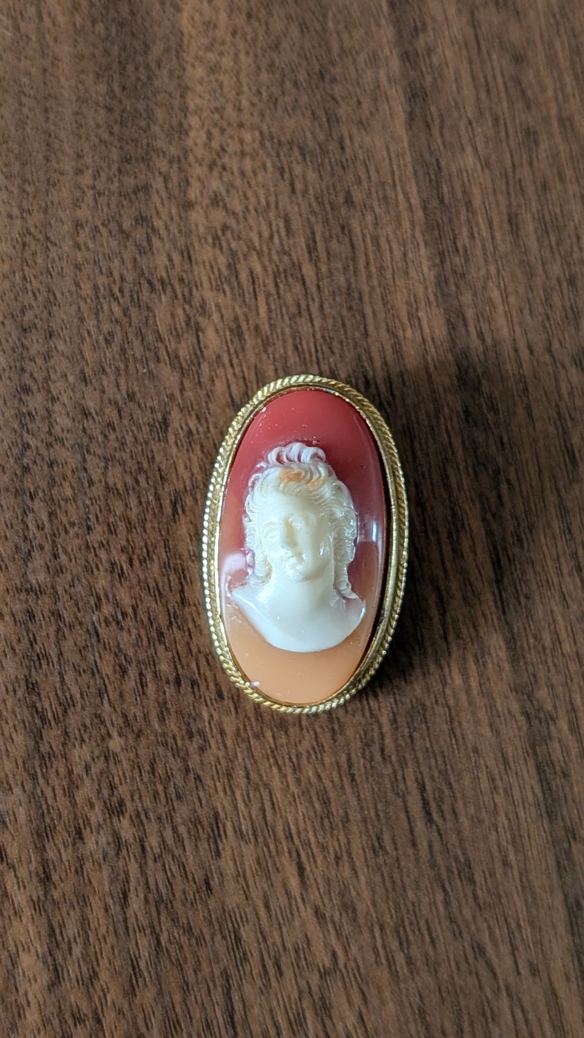 Caméo brooch - plastic gold tone vintage