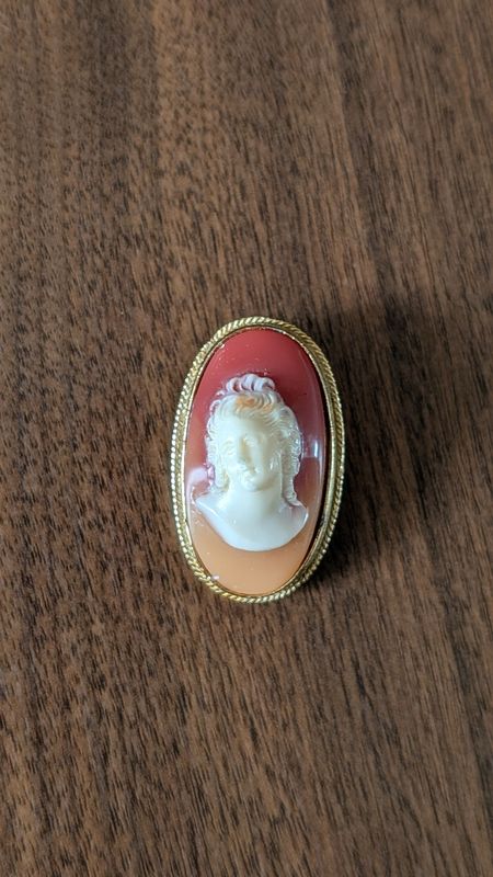 Caméo brooch - plastic gold tone vintage
