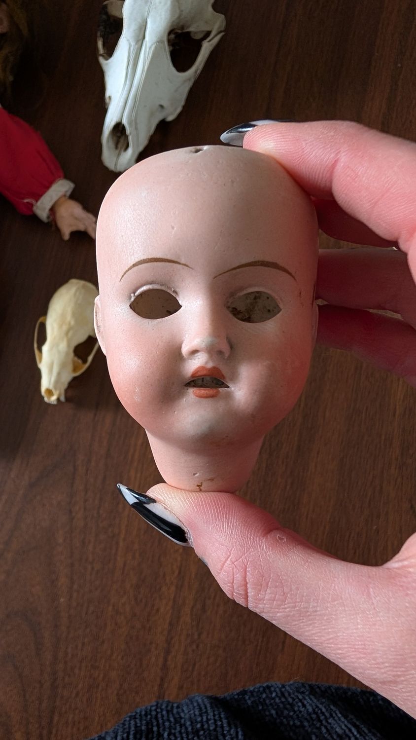 Doll head 3