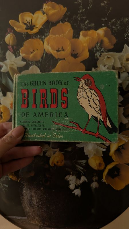 Birds of america little vintage book