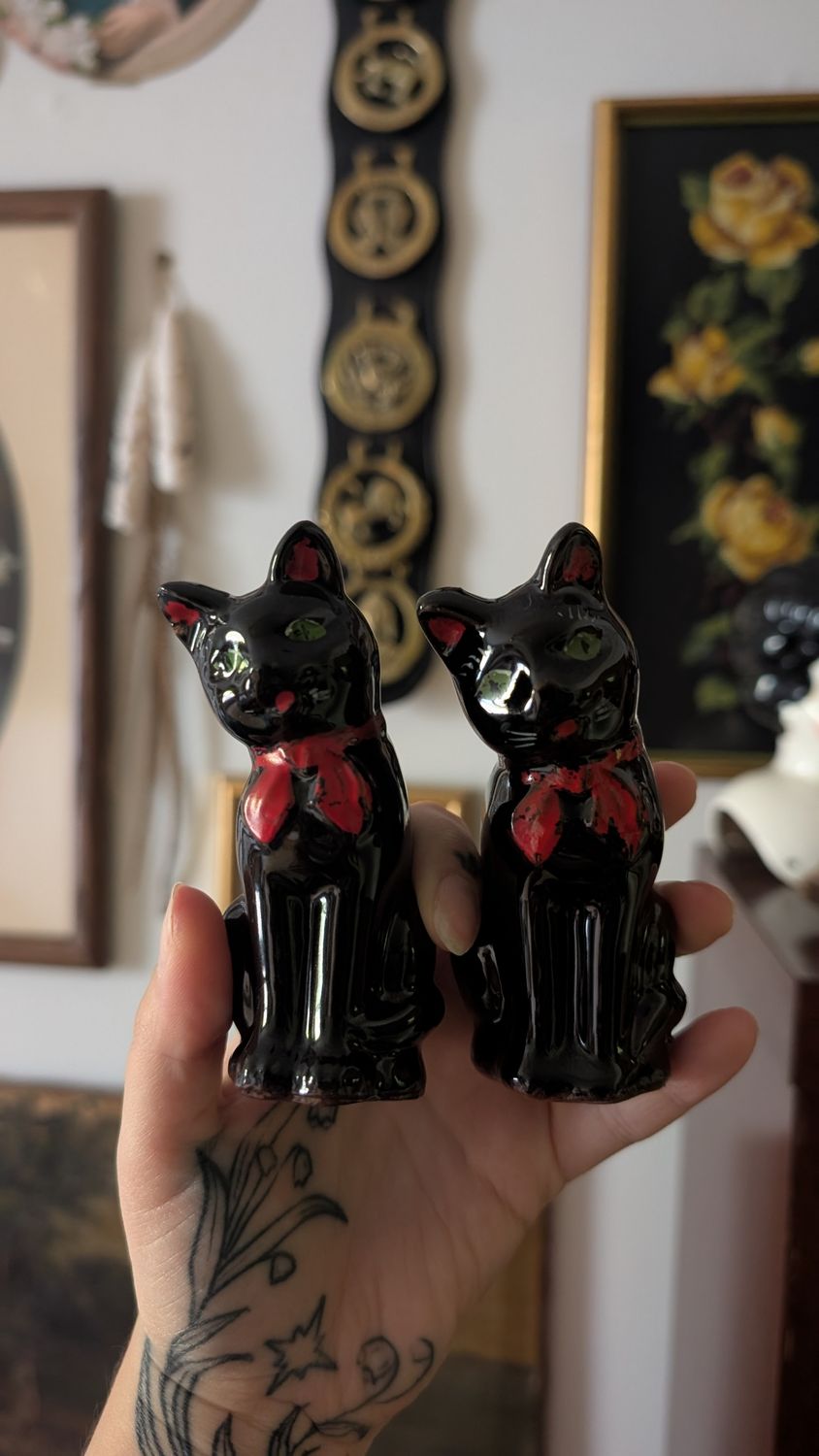 Black cat salt and pepper