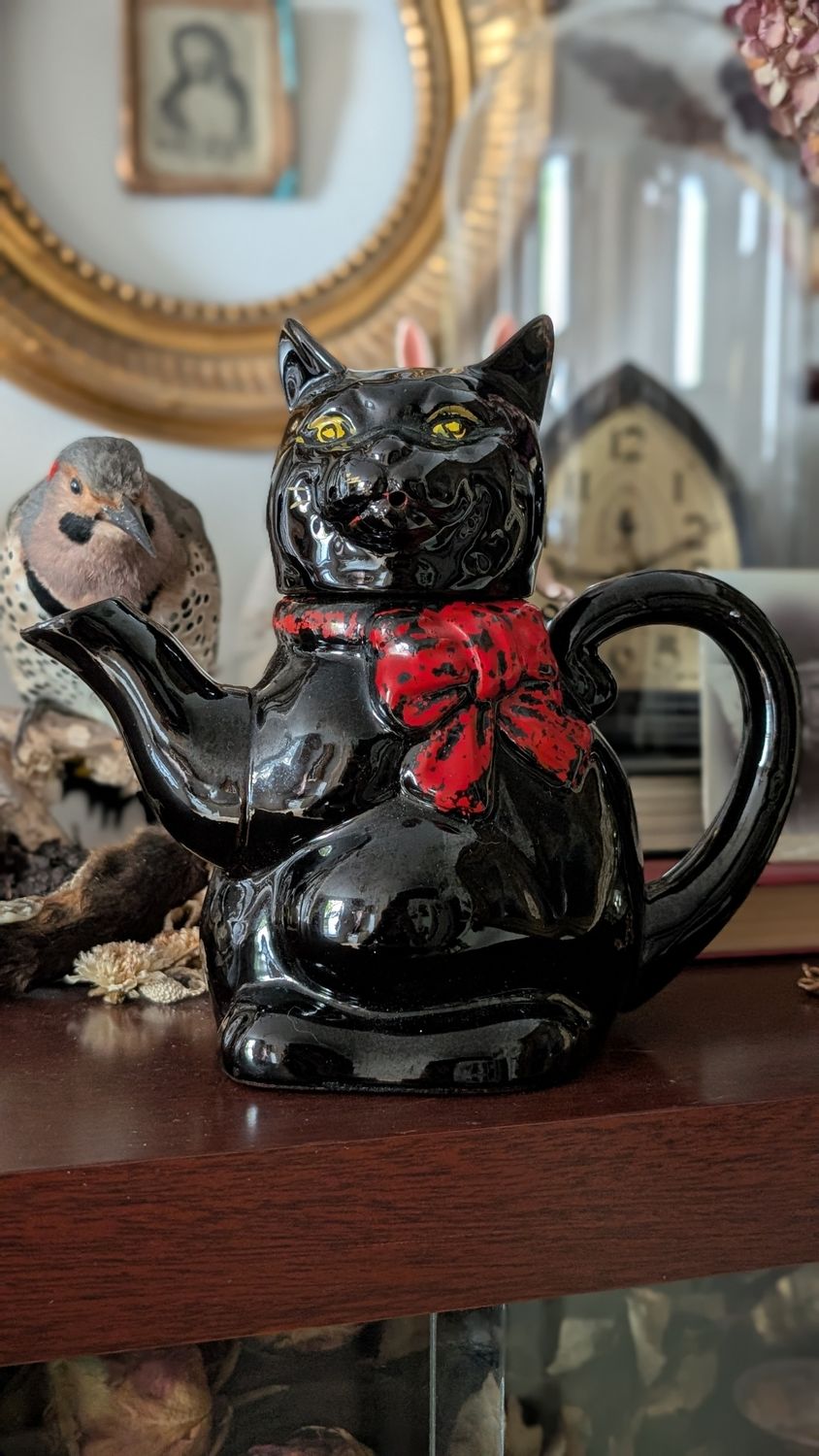 Black cat teapot