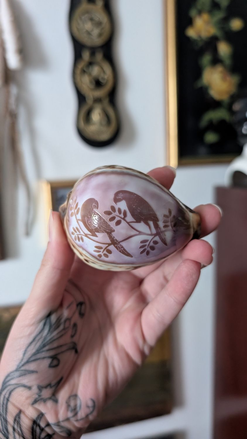 Carved shell - birds