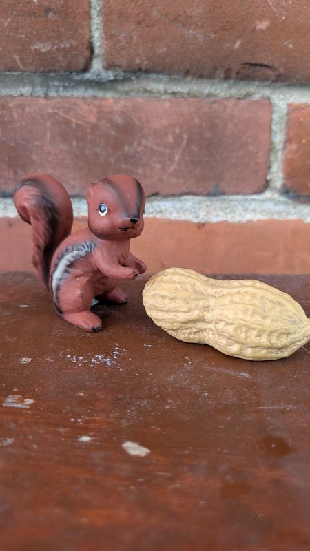 Squirrel and peanut salt and pepper shakers
