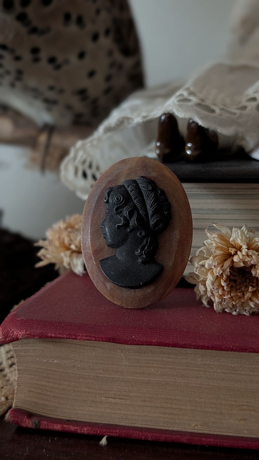 Plastic dark caméo brooch