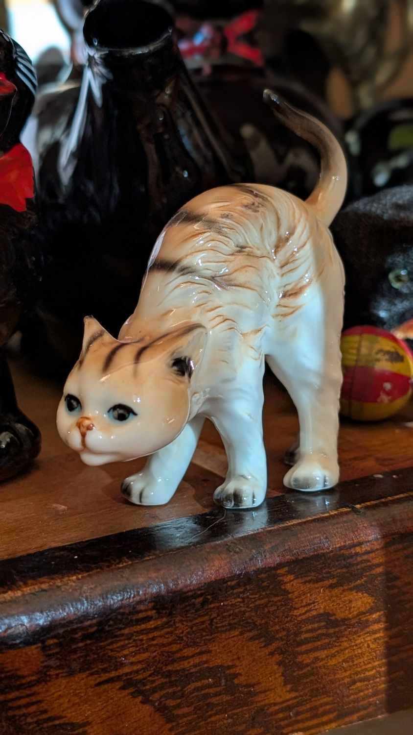 Scaredy cat ceramic