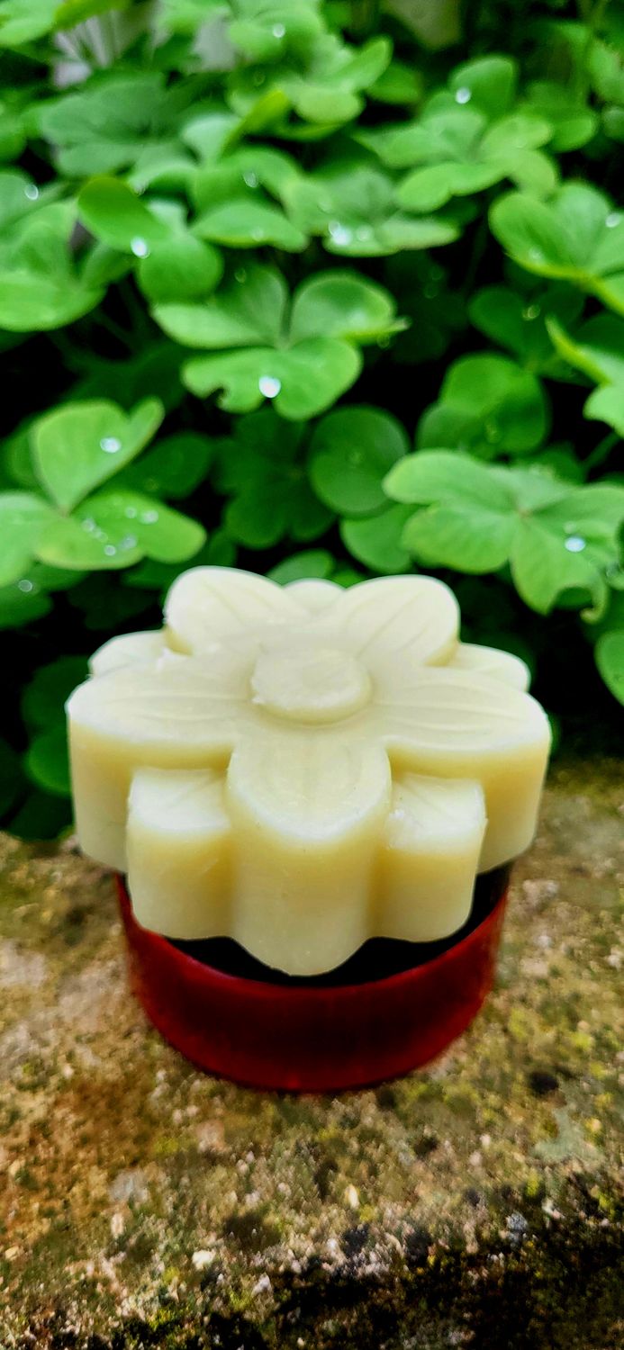 💮 Kruti regenerator za kosu