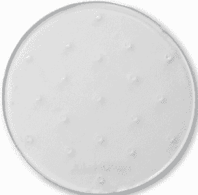 DAKINE CIRCLE MAT PAD
