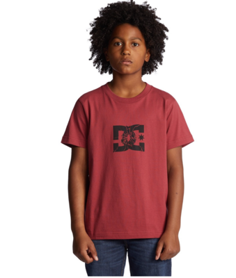 DC Boy's T-shirt Shatter SS Boy - red earth