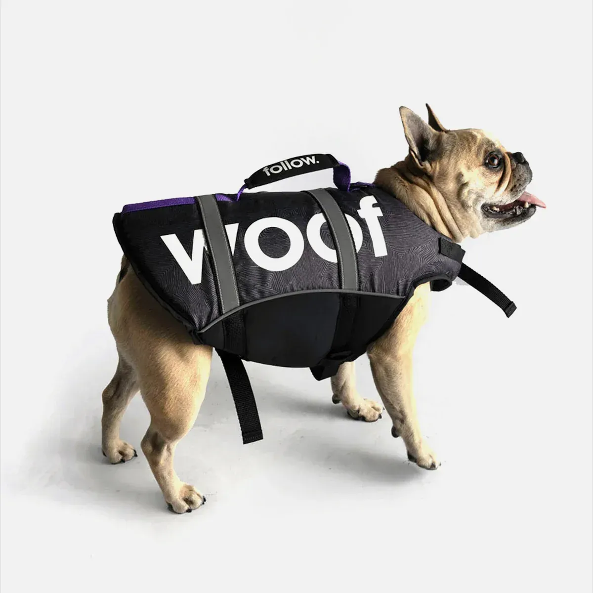 FOLLOW DOG FLOATING AID