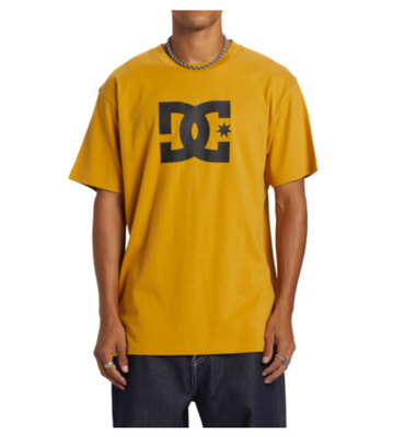 DC T-shirt DC Star HSS - tinsel