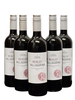 2023er MERLOT "Vallagarina"  IGT Trentino trocken 0,75 l ANGEBOT FÜR 12 FLASCHEN