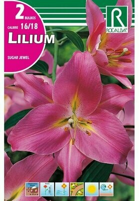 BULBOS DE PRIMAVERA