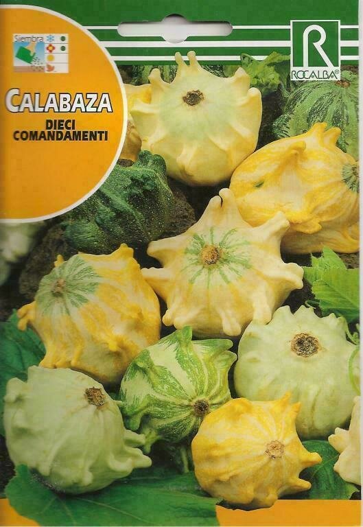 CALABAZA DIECI COMANDAMENTI