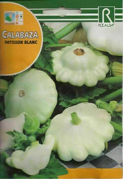 CALABAZA PATISSON BLANC CALABAZA PATISSON BLANC