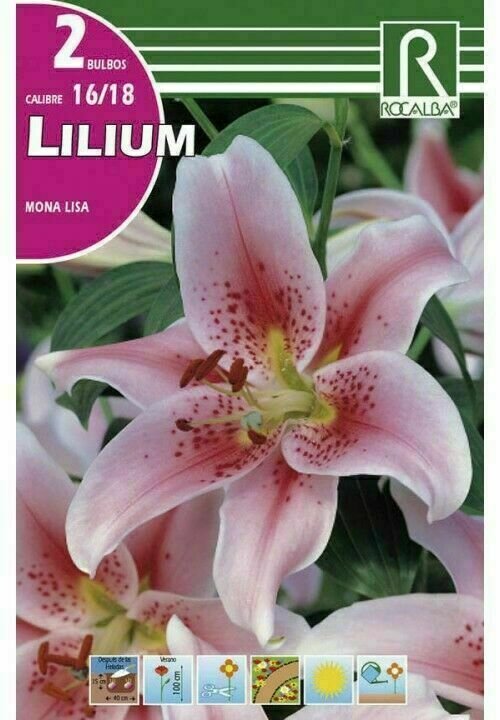 FLORES BULBOS LILIUM MONA LISA -LILA SUAVE, PUNTOS ROJOS BULBOS DE PRIMAVERA