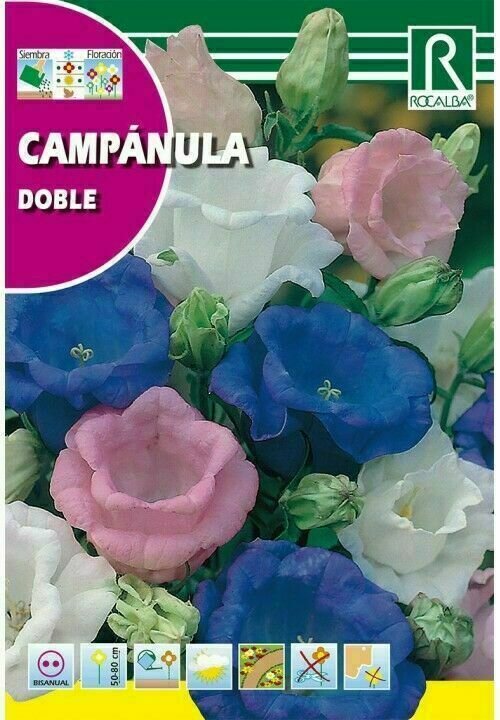 FLORES CAMPANULA