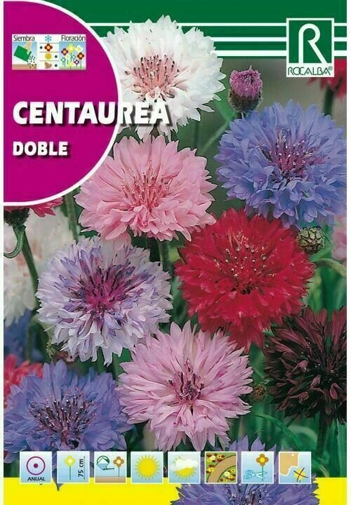 FLORES CENTAUREA DOBLE