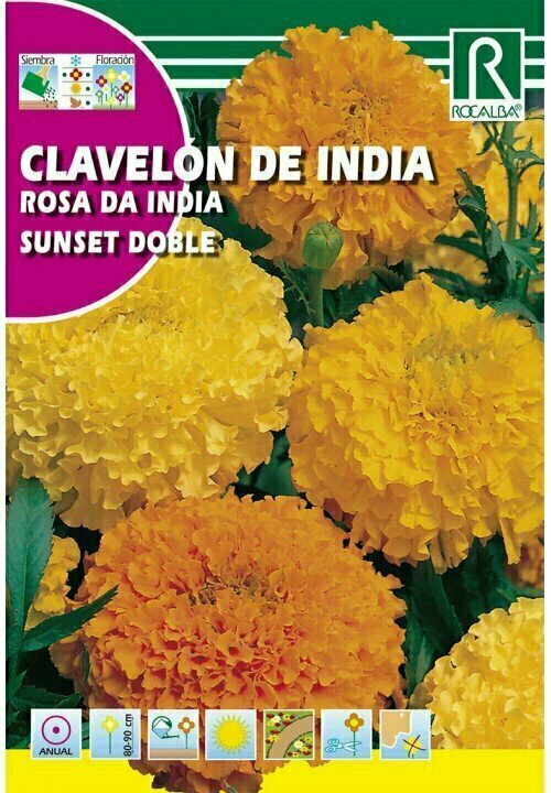 FLORES CLAVELÓN DE INDIA SUNSET DOBLE GRANDE VARIADO