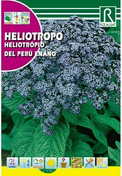 FLORES HELIOTROPO