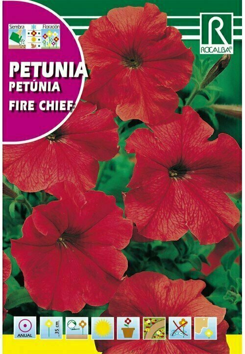 FLORES PETUNIA ROJAS