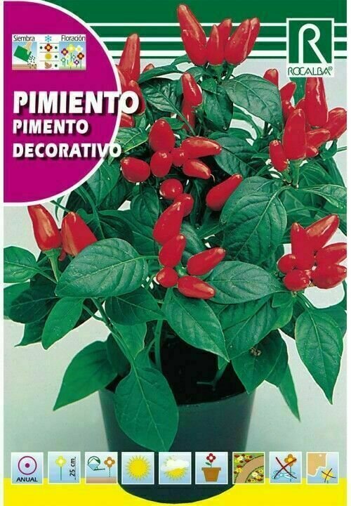 FLORES PIMIENTO
