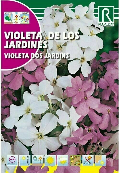 FLORES VIOLETA DE LOS JARDINES