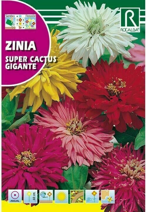 FLORES ZINIA SUPER CACTUS GIGANTE VARIADA