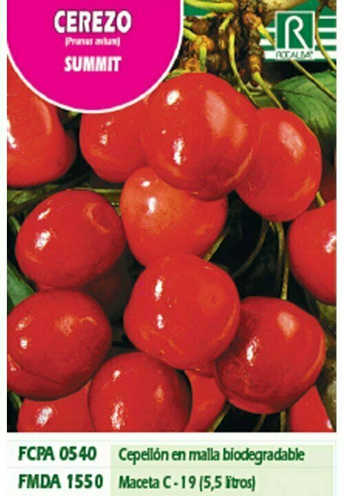 FRUTALES CEREZO SUMMIT -rojo intenso-