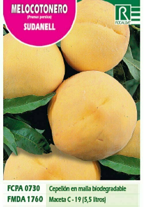 FRUTALES MELOCOTONERO SUDANELL -amarillo estr.rojO-