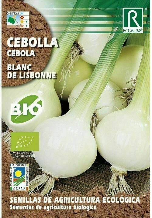 HORTALIZAS ECOLOGICAS CEBOLLA BLANC DE LISBONNE