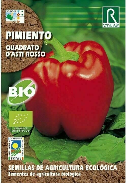 HORTALIZAS ECOLOGICAS PIMIENTO QUADRATO D'ASTI ROSSO