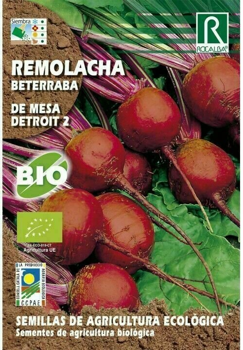 HORTALIZAS ECOLOGICAS REMOLACHA DE MESA DETROIT 2