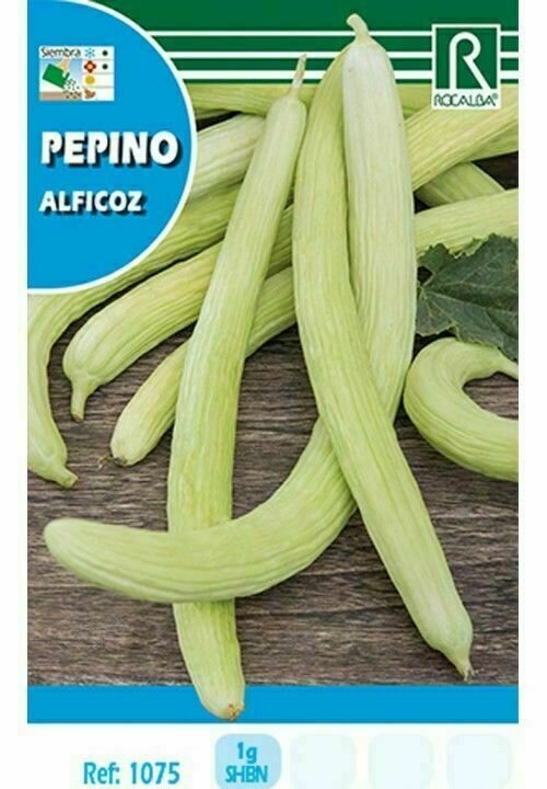 HORTALIZAS PEPINO ALFICOZ