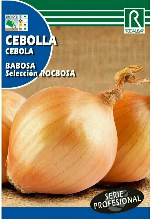 HORTALIZAS PROFESIONAL CEBOLLA BABOSA SELECCION ROCBOSA