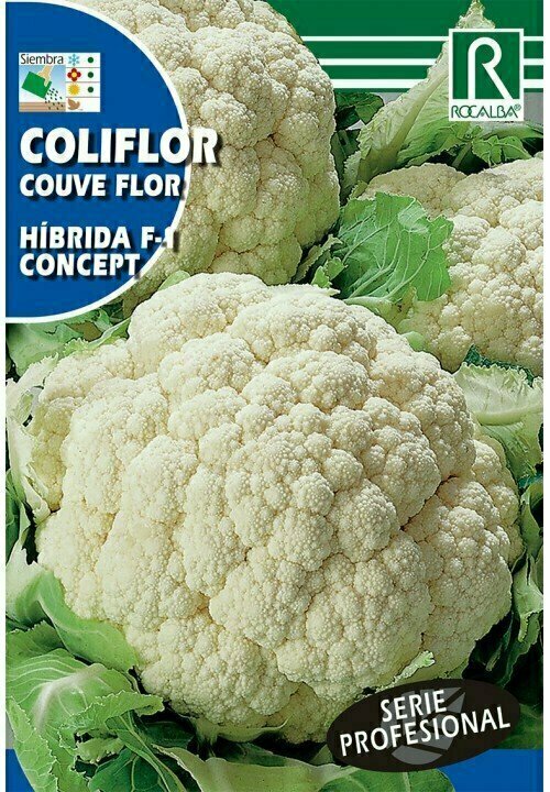 HORTALIZAS PROFESIONAL COLIFLOR HIBRIDA F-1 CONCEPT