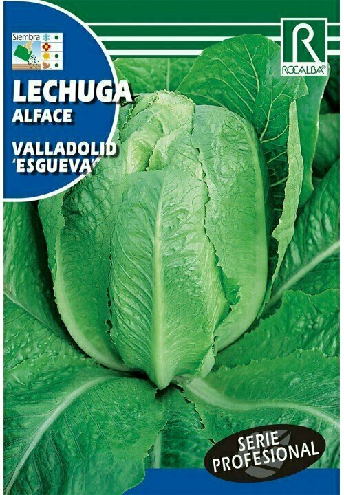 HORTALIZAS PROFESIONAL LECHUGA VALLADOLID ESGUEVA