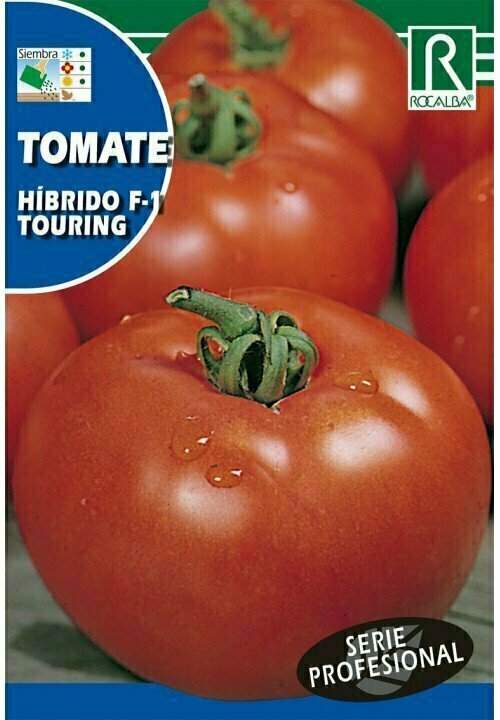 HORTALIZAS PROFESIONAL TOMATE HIBRIDO F-1 TOURING