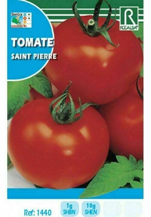 HORTALIZAS TOMATE SAINT PIERRE