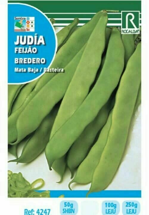 JUDIA BREDERO 250 GRS