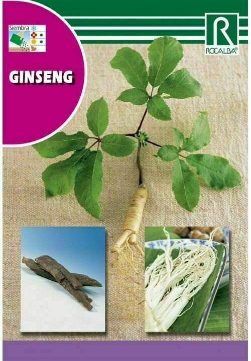 MEDICINALES, AROMATICAS Y CULINARIAS GINSENG