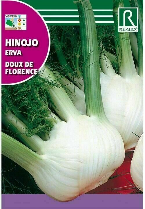 MEDICINALES, AROMATICAS Y CULINARIAS HINOJO