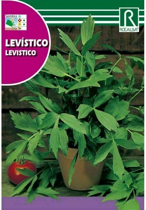 MEDICINALES, AROMATICAS Y CULINARIAS LEVÍSTICO